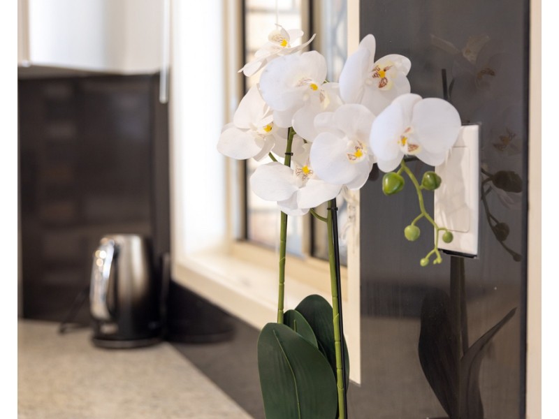 12 Panorama Street, Richlands QLD 4077