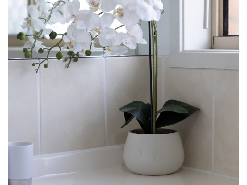 12 Panorama Street, Richlands QLD 4077