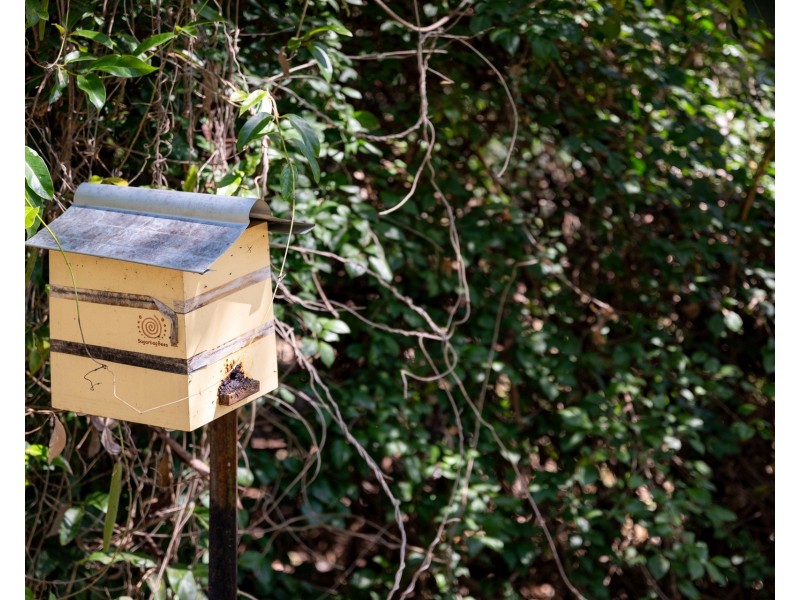 203 Rafting Ground Road, Kenmore Hills QLD 4069