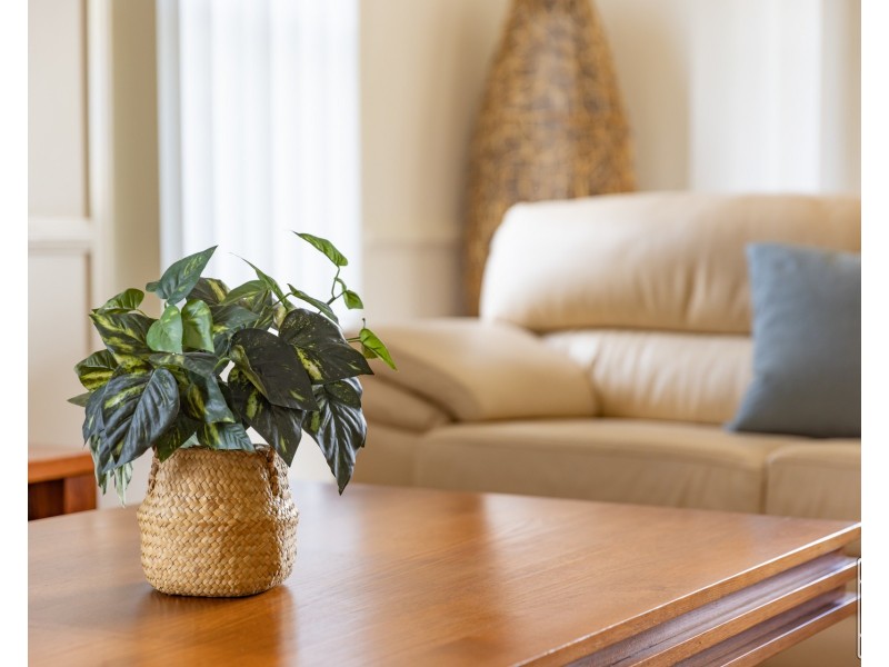 32 Honeypot Avenue, Springfield Lakes QLD 4300