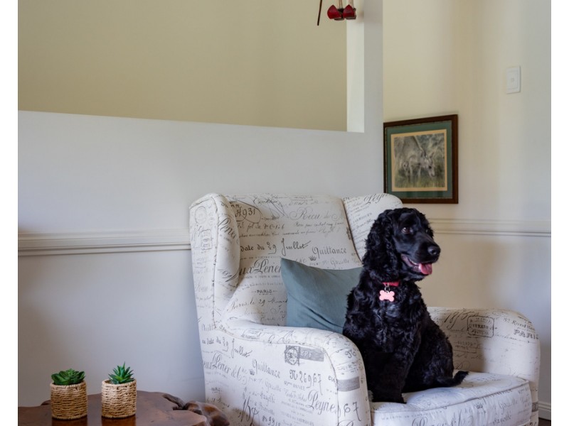 32 Honeypot Avenue, Springfield Lakes QLD 4300