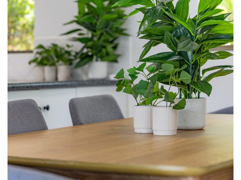 6/490 Marine Parade, Biggera Waters QLD 4216