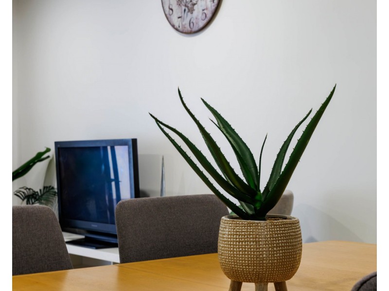 2/27 Lumley Street, Upper Mount Gravatt QLD 4122