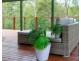 167 Baaring Drive, Karana Downs QLD 4306