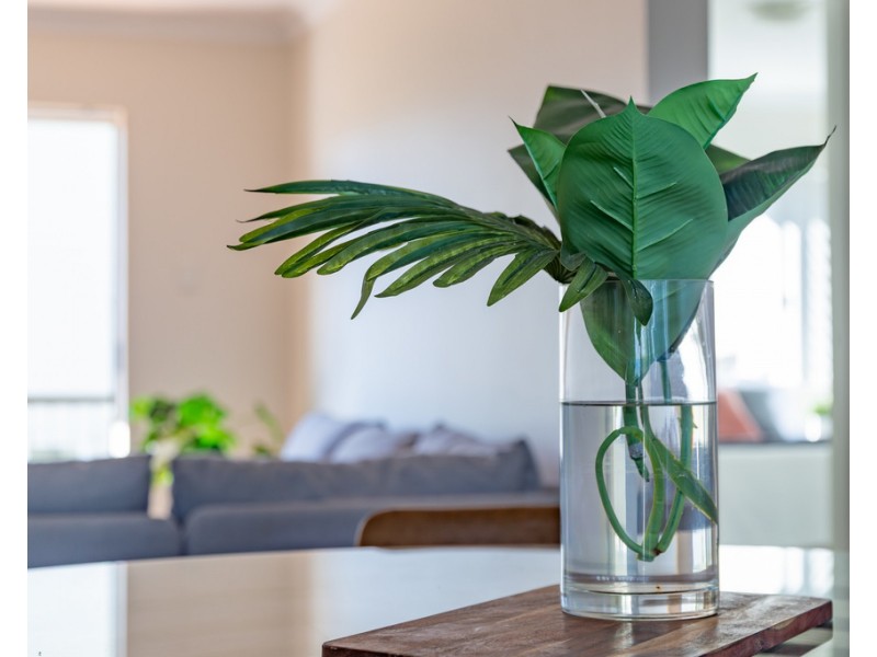 3/19 Groom Street, Gordon Park QLD 4031