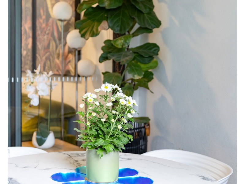 28/24 Colton Avenue, Lutwyche QLD 4030