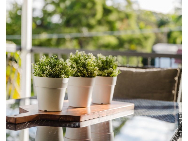 55 Narellan Street, Arana Hills QLD 4054