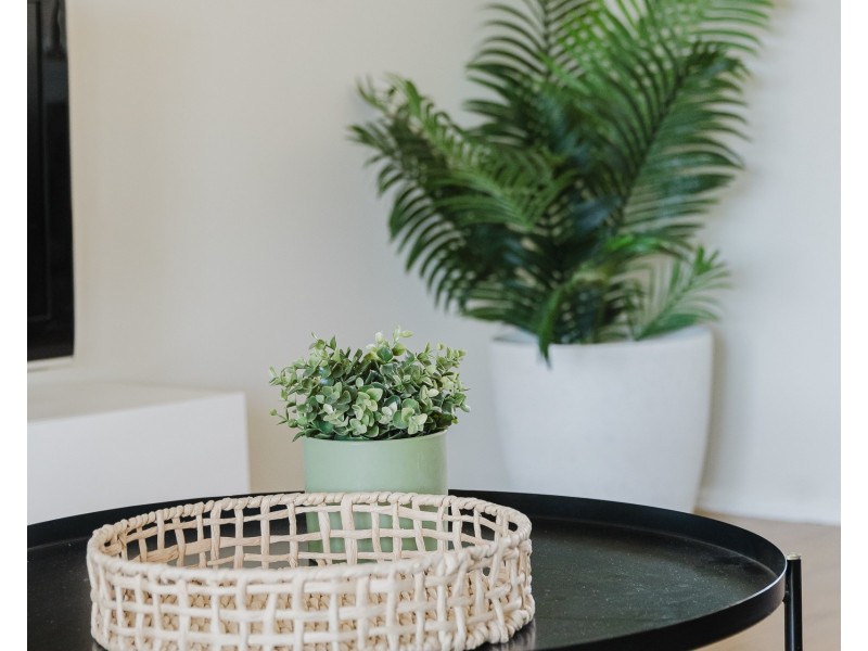 12 Scott Street, Cleveland QLD 4163