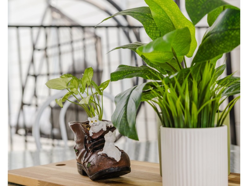 83 Nectar Circuit, Redbank Plains QLD 4301