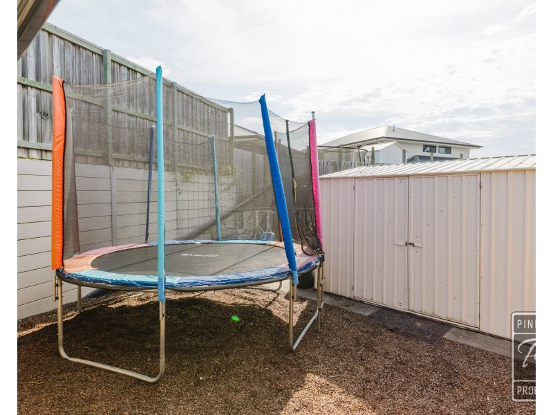 83 Nectar Circuit, Redbank Plains QLD 4301