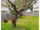 12 Scott Street, Cleveland QLD 4163