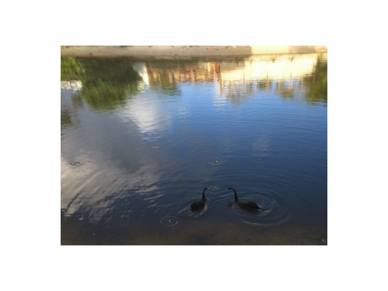 1/3 Sarasota Key, Broadbeach Waters QLD 4218