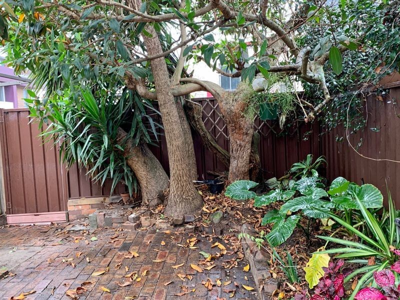 12 Pearl Street, Newtown NSW 2042