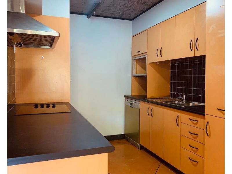 56 Lower Campbell Street, Surry Hills NSW 2010
