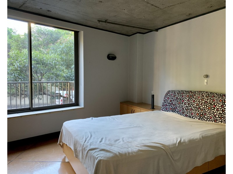 56 Lower Campbell Street, Surry Hills NSW 2010