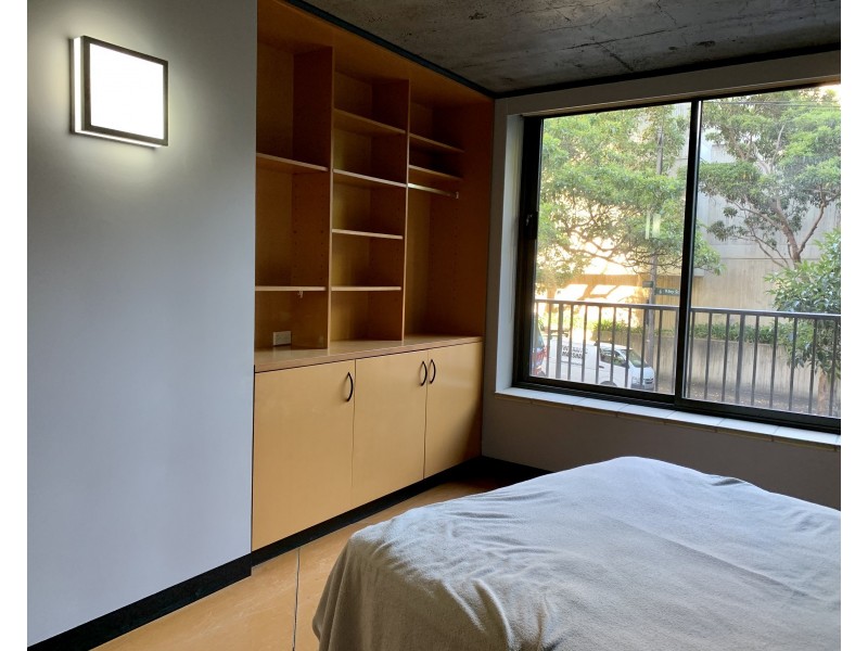 56 Lower Campbell Street, Surry Hills NSW 2010