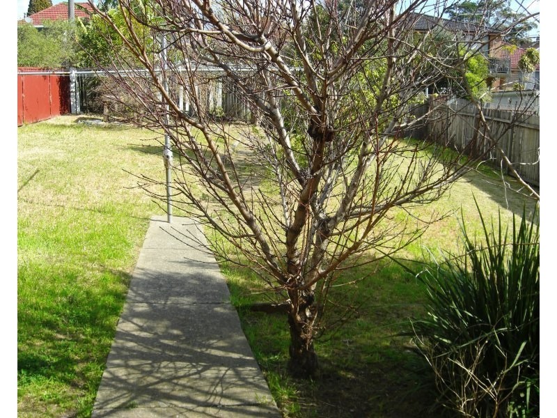 13 Cronulla Street, Carlton NSW 2218