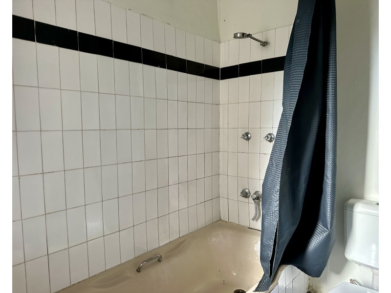 46A Sutherland Street, St Peters NSW 2044