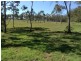 Pine Mountain QLD 4306