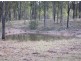 300 Pine Mountain Road, Muirlea QLD 4306