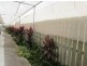 20 Resolution Parade, Flinders View QLD 4305