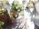 23 Horton Street, Bundamba QLD 4304