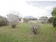 33 Dudleigh Street, North Booval QLD 4304