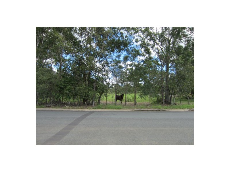 Eleazar Drive, Blacksoil QLD 4306