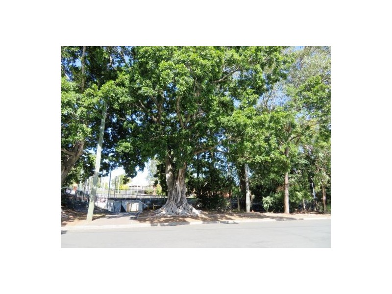 6 MacFarlane Street, Sadliers Crossing QLD 4305