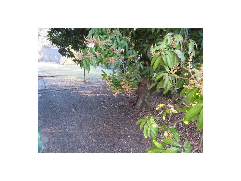 15 Brisbane Road, Dinmore QLD 4303