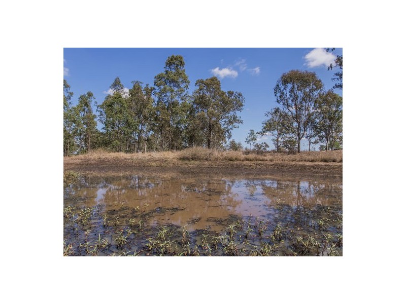 135 Siddans Road, Purga QLD 4306