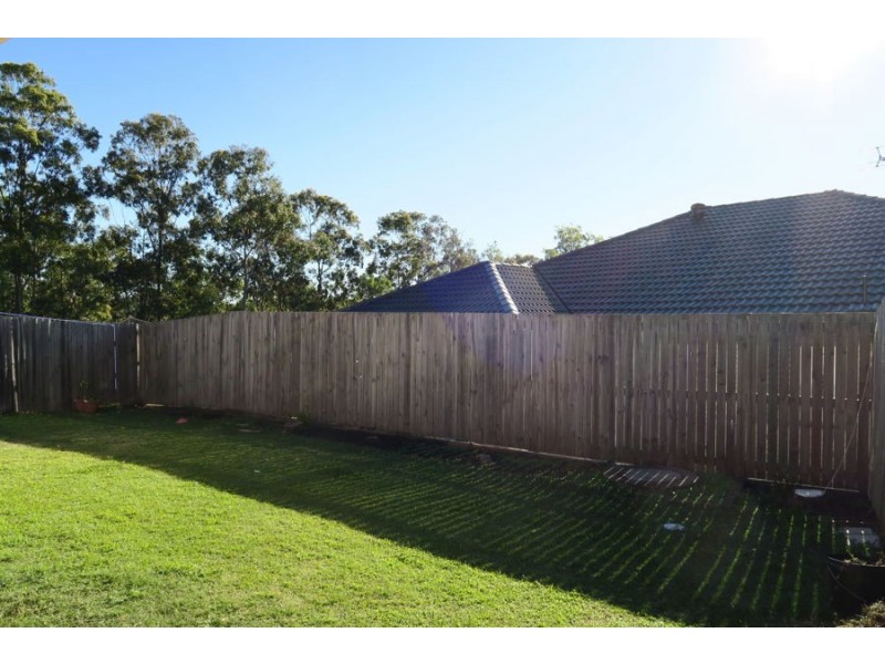 4 Jasper Way, Springfield QLD 4300