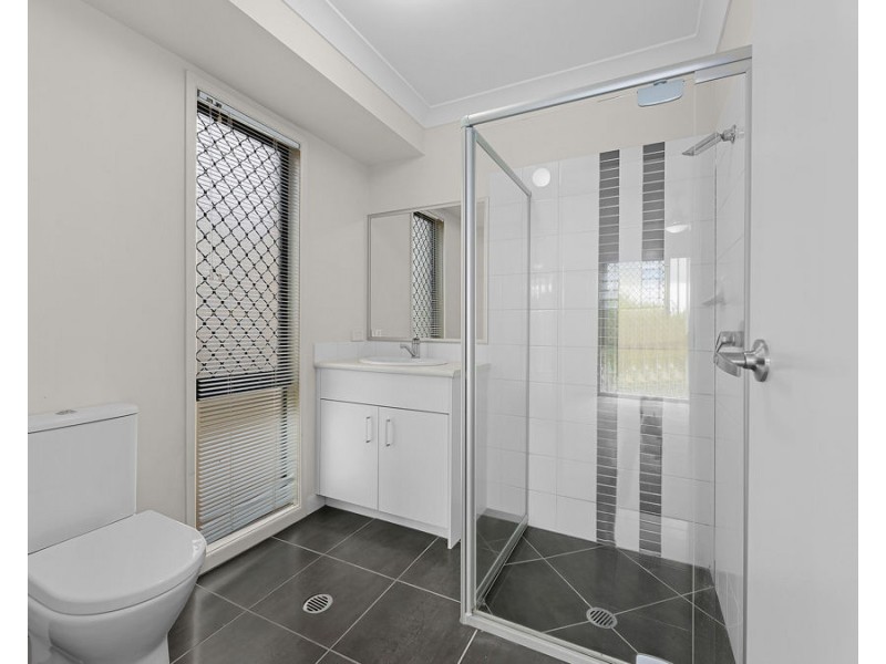 73 Willow Road, Redbank Plains QLD 4301