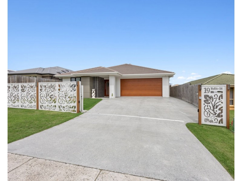 19 Tulip Street, Yamanto QLD 4305