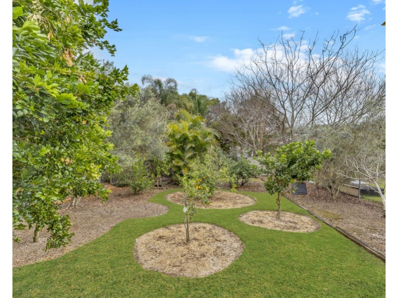 17 Omar Street, West Ipswich QLD 4305