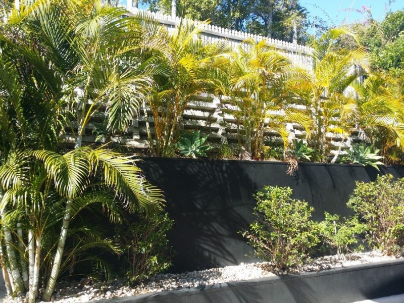 49A Pennant Street, Jamboree Heights QLD 4074