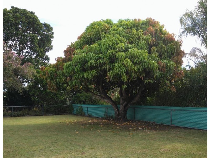 13 Morris Street, Silkstone QLD 4304