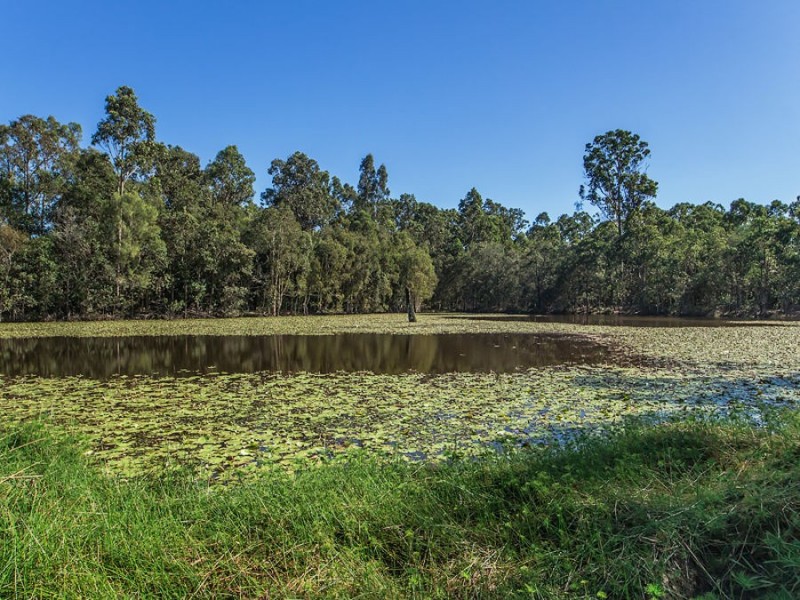 10-30 Violet Road, Greenbank QLD 4124