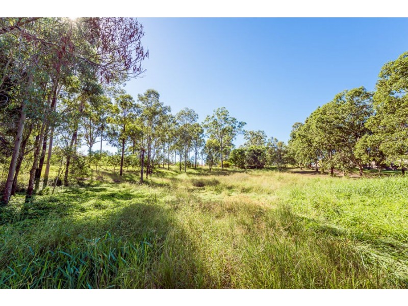 45 Greenwood Village Road, Redbank Plains QLD 4301