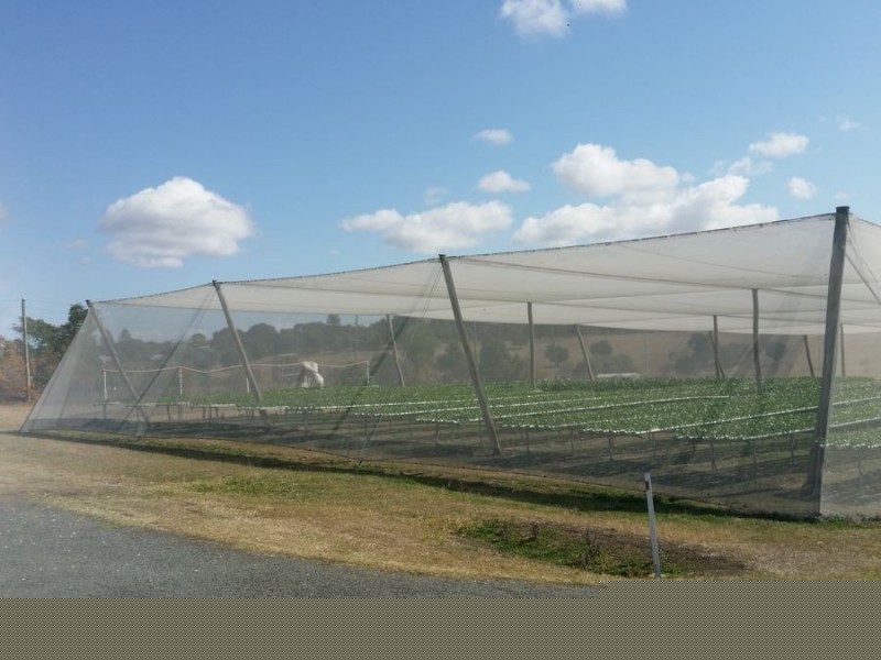 2186 Warrego Hwy, Haigslea QLD 4306