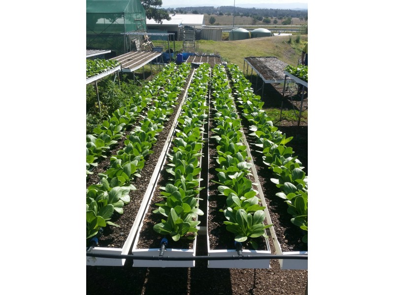 2186 Warrego Hwy, Haigslea QLD 4306