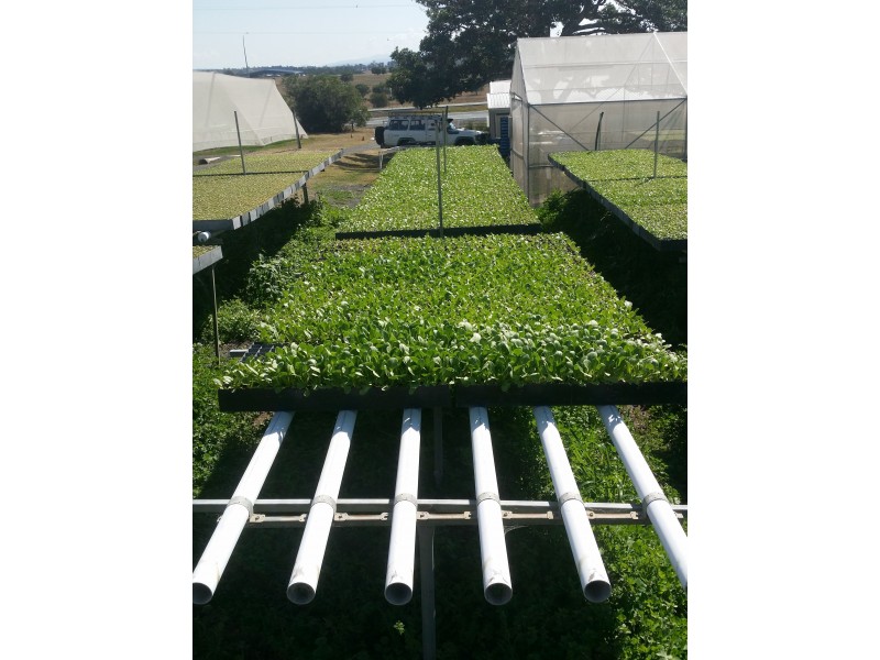 2186 Warrego Hwy, Haigslea QLD 4306