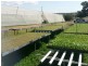 2186 Warrego Hwy, Haigslea QLD 4306