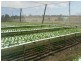 2186 Warrego Hwy, Haigslea QLD 4306