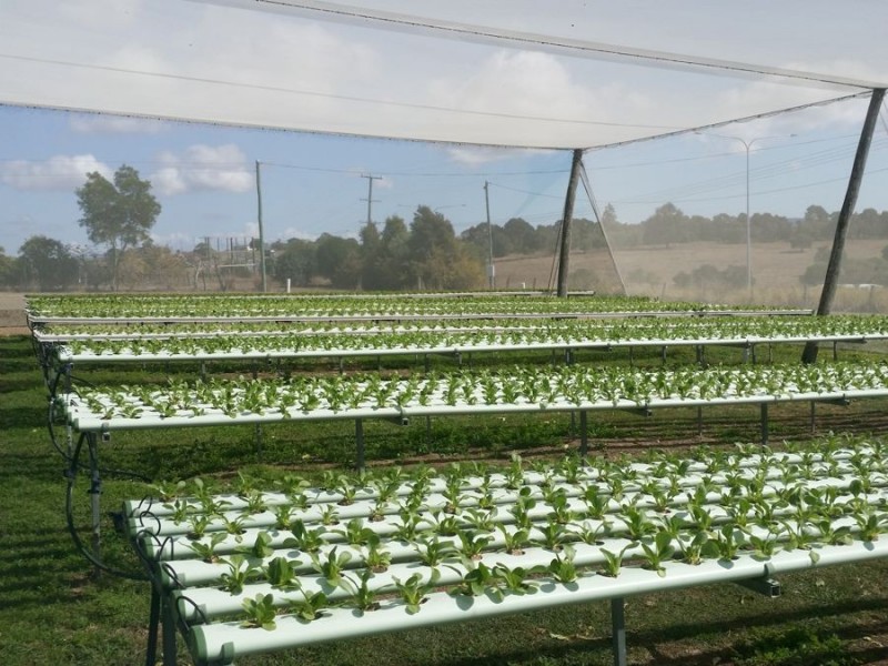 2186 Warrego Hwy, Haigslea QLD 4306