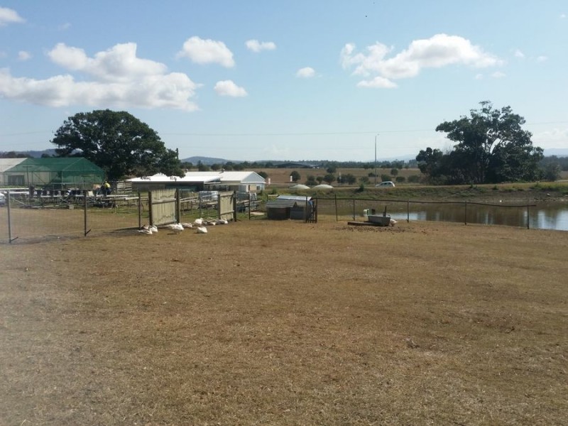 2186 Warrego Hwy, Haigslea QLD 4306