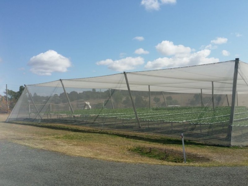 2186 Warrego Hwy, Haigslea QLD 4306