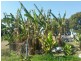 2186 Warrego Hwy, Haigslea QLD 4306