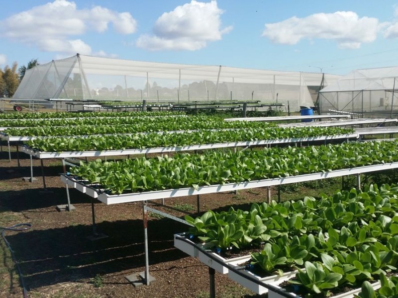 2186 Warrego Hwy, Haigslea QLD 4306