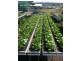 2186 Warrego Hwy, Haigslea QLD 4306